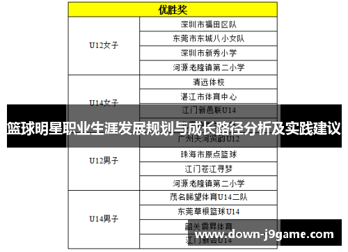 篮球明星职业生涯发展规划与成长路径分析及实践建议