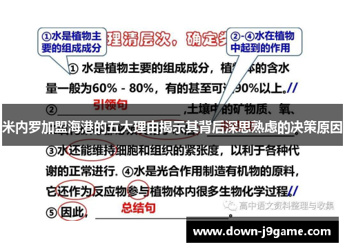 米内罗加盟海港的五大理由揭示其背后深思熟虑的决策原因 米内罗加盟海港的五大理由揭示其背后深思熟虑的决策原因