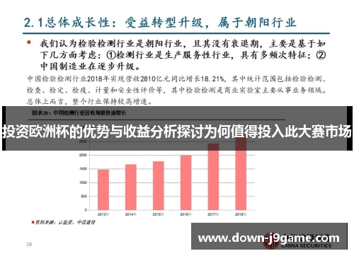 投资欧洲杯的优势与收益分析探讨为何值得投入此大赛市场