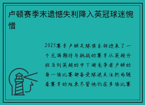 卢顿赛季末遗憾失利降入英冠球迷惋惜 卢顿赛季末遗憾失利降入英冠球迷惋惜